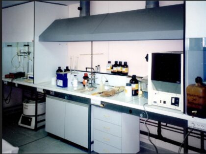 hotte-suspendue-ou-inox